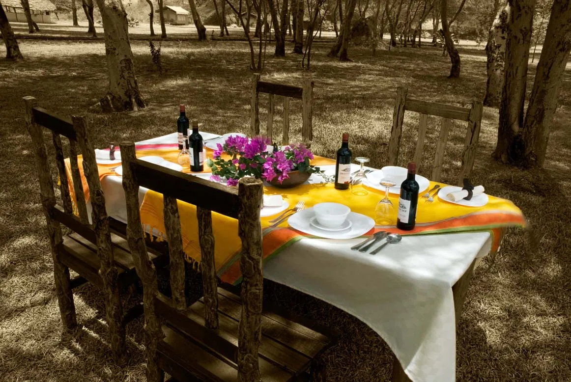 A table laid for lunch with wine and bougainvillea under the acacia trees